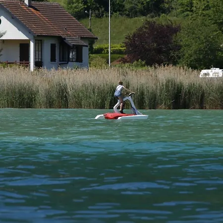 Les Eaux Vives Villa Sévrier